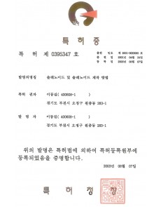 특허증 제0395347호